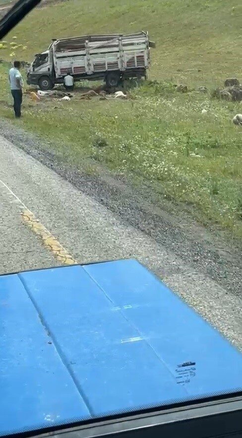 Sarıkamış’ta kamyonet devrildi. 2 kişi yaralanırken, kamyonette bulunan 17 küçükbaş