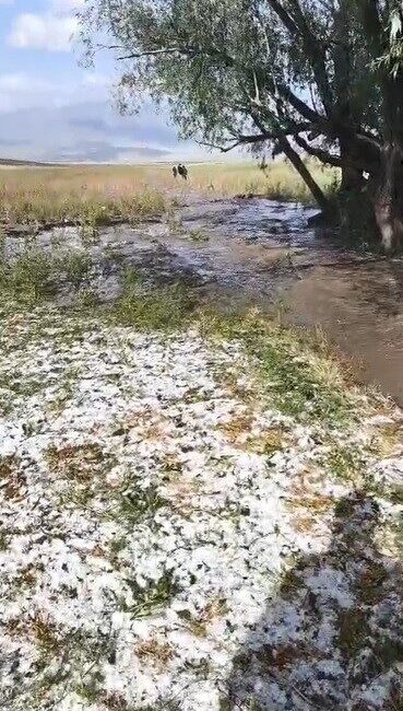 Sarıkamış’ta etkili olan sağanak yağmur ve dolu yağışı sele neden