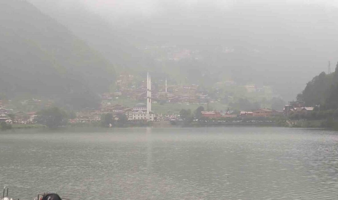 Türkiye’nin büyük bölümünü etkisi altına alan sıcak hava dalgası yaşamı