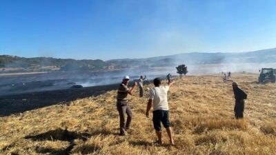Sinop’un Boyabat ilçesinde meydana gelen anız yangınında 60 balya saman