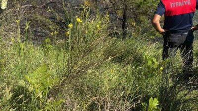 Sinop’un Türkeli ilçesine bağlı Ayaz köyünde çıkan orman yangını, kontrol