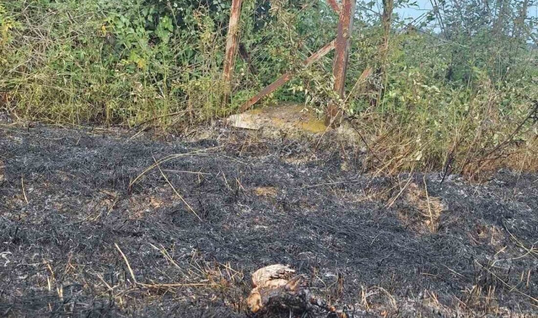 Sinop’ta yüksek gerilim hattına konan kuşun yanması sonucu çıkan yangın,