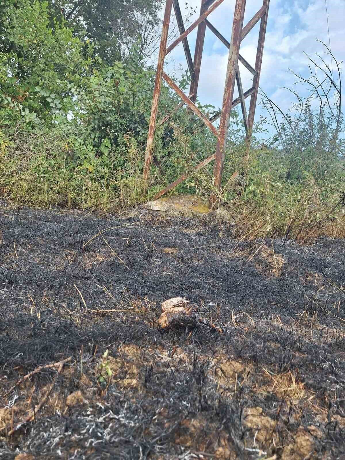 Sinop’ta yüksek gerilim hattına konan kuşun yanması sonucu çıkan yangın,