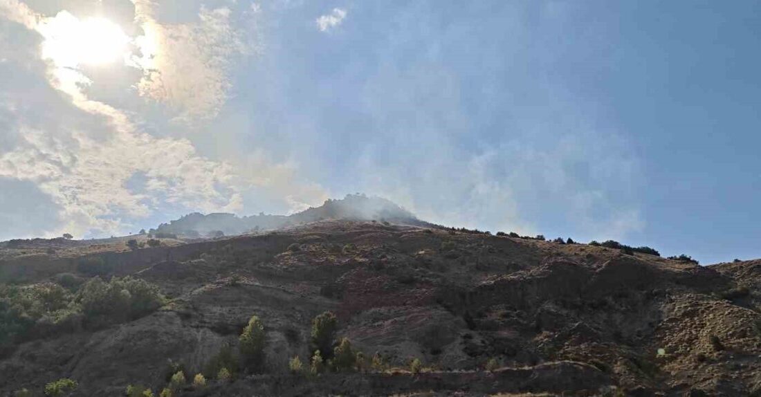 Sivas’ın Suşehri ve Zara ilçeleri arasında bulunan Geminbeli Geçidi’ndeki ormanlık