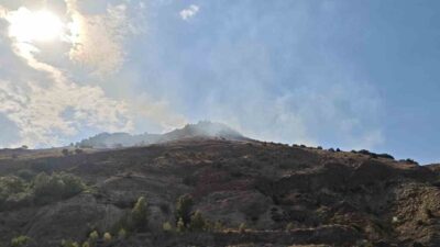 Sivas’ın Suşehri ve Zara ilçeleri arasında bulunan Geminbeli Geçidi’ndeki ormanlık