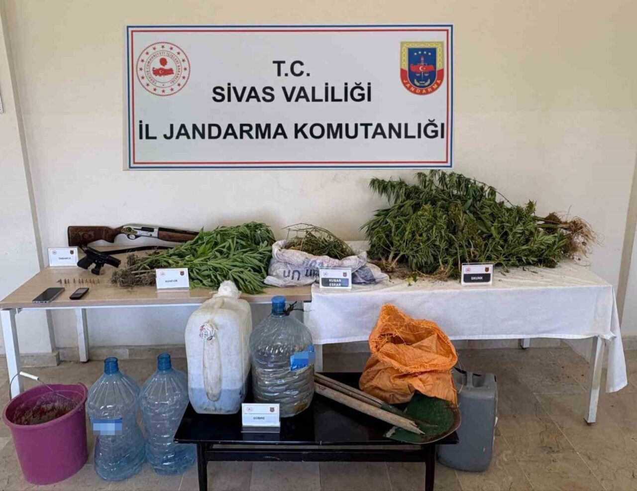 Sivas’ta jandarma ekiplerince düzenlenen operasyonda 500 gram esrar, onlarca kök