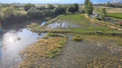 Erzincan’da önceki gün bazı tarlalarda su baskını yaşanarak ekili ürünlerin