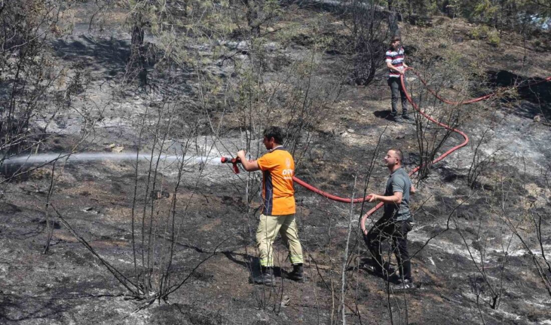 Kastamonu’nun Taşköprü ilçesinde tarım arazisinde çıkan ve ormanlık alana sıçrayan