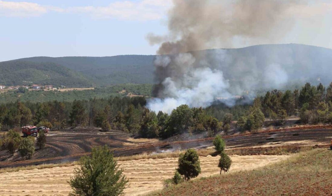 Kastamonu’nun Taşköprü ilçesinde tarım arazisinde çıkan yangın ormanlık alana sıçradı.