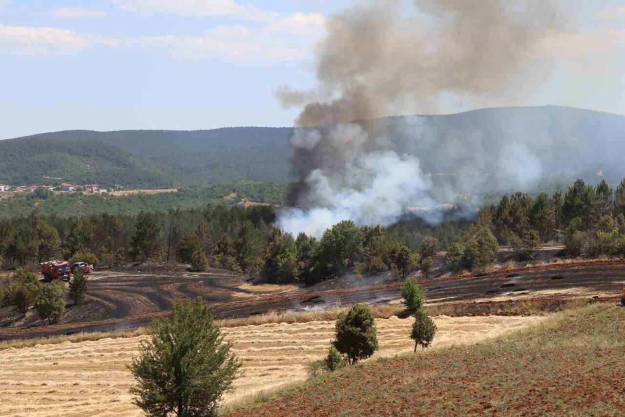 Kastamonu’nun Taşköprü ilçesinde tarım arazisinde çıkan yangın ormanlık alana sıçradı.