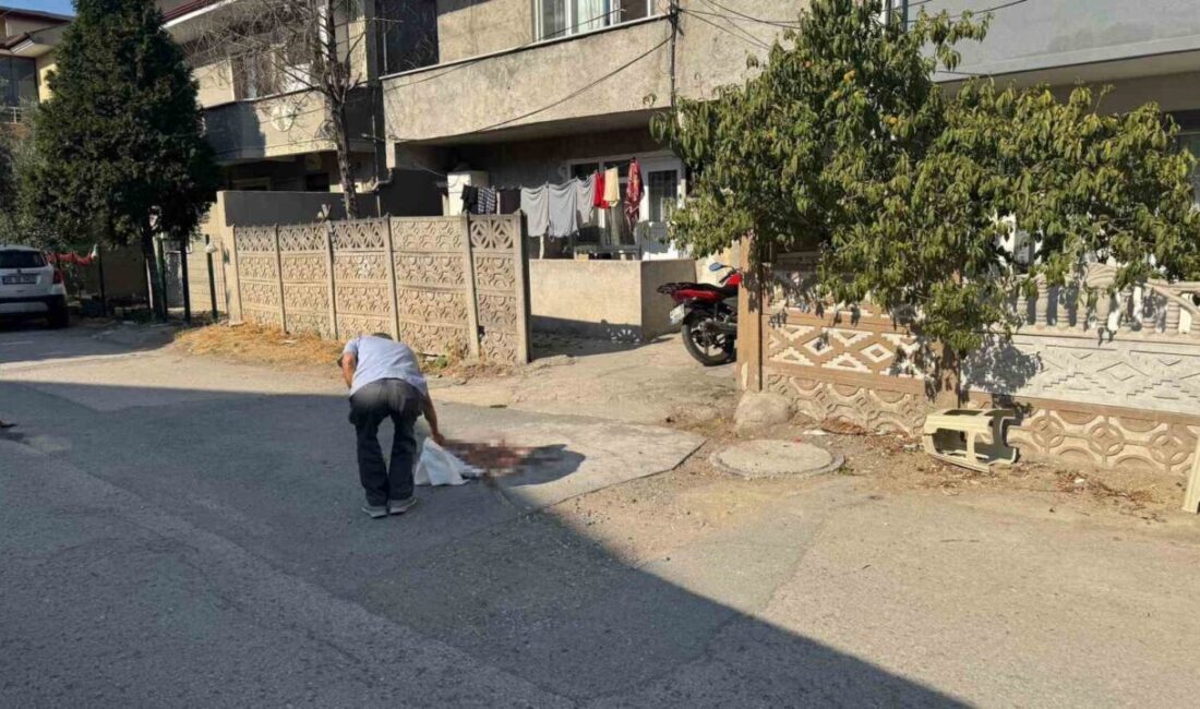 Tartıştığı babasını pompalı tüfekle vurarak öldürmüştü, tutuklandı Sakarya’nın Erenler ilçesinde tartıştığı oğlu tarafından pompalı tüfekle vurularak ağır