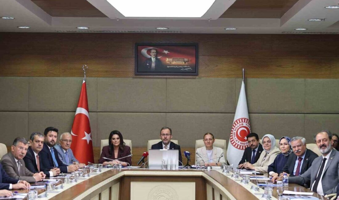 Türkiye Büyük Millet Meclisi’nde, engelli bireylerin karşı karşıya bulunduğu sorunların