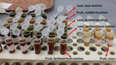 Karadeniz Teknik Üniversitesi (KTÜ) Fen Fakültesi Moleküler Biyoloji ve Genetik