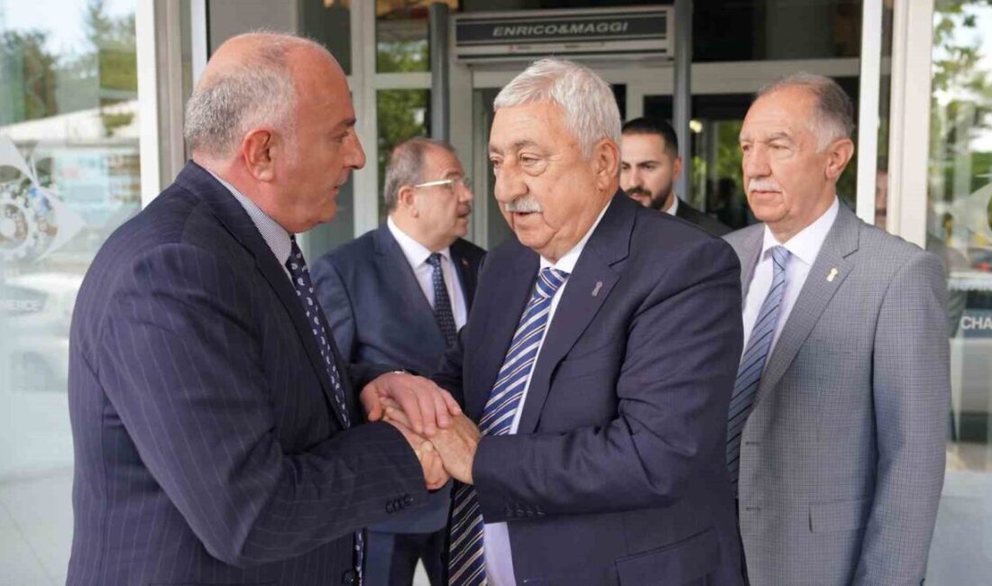 Türkiye Esnaf ve Sanatkarları Konfederasyonu (TESK) Genel Başkanı Bendevi Palandöken,