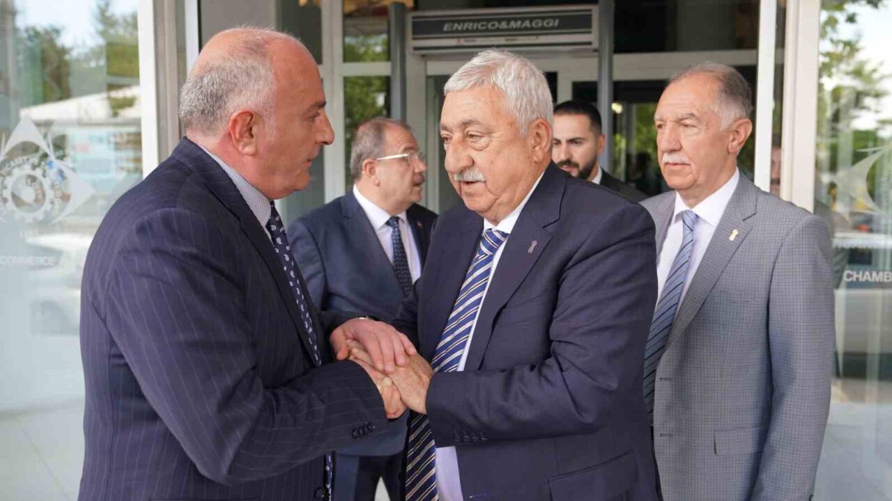 Türkiye Esnaf ve Sanatkarları Konfederasyonu (TESK) Genel Başkanı Bendevi Palandöken,