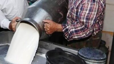 Mayıs ayında ticari süt işletmelerince 999 bin 348 ton inek