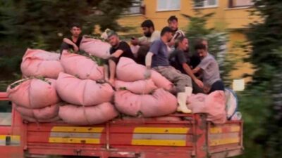 Rize’de çay dolu bezlerle dolu kamyonun kasasında seyahat eden 8