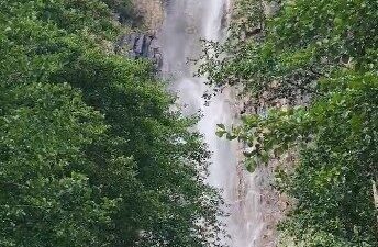 Trabzon’un Araklı ilçesinde yaşanan olay, hem yürekleri ısıttı hem de