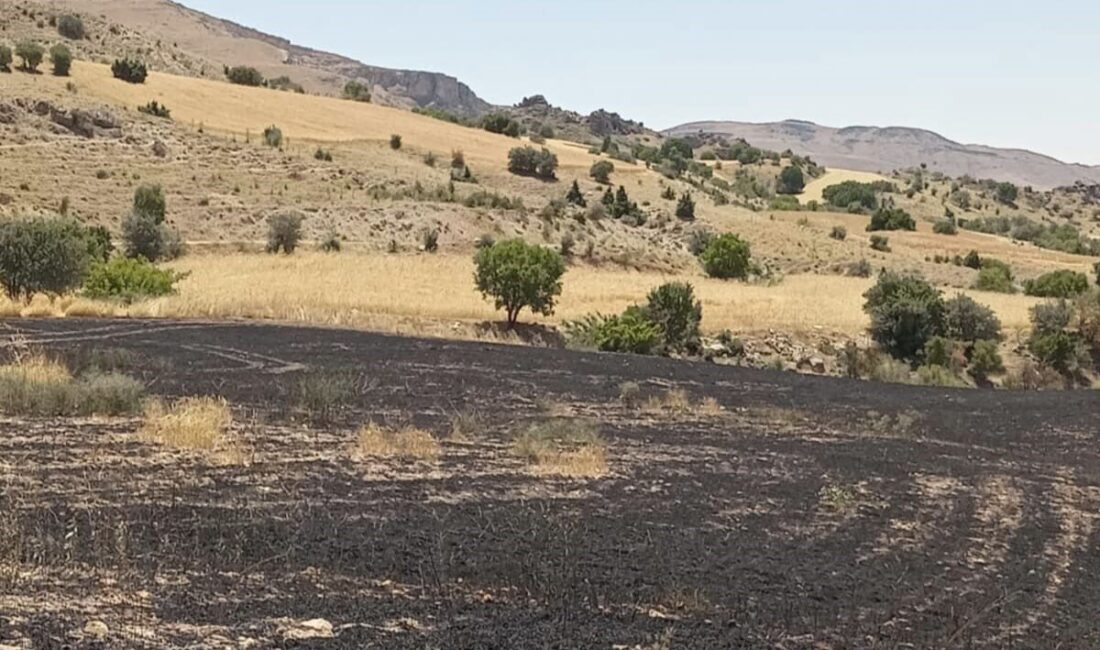 Tunceli’nin Çemişgezek ilçesinde çıkan arazi yangınında 34 dönüm arpa tarlası