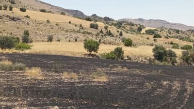 Tunceli’nin Çemişgezek ilçesinde çıkan arazi yangınında 34 dönüm arpa tarlası