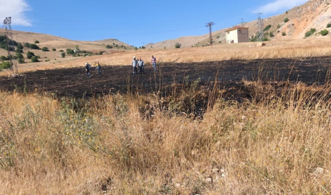 Tunceli’nin Hozat ilçesinde ekili alanda meydana gelen yangın, belediye ekiplerinin