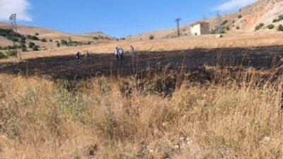 Tunceli’nin Hozat ilçesinde ekili alanda meydana gelen yangın, belediye ekiplerinin