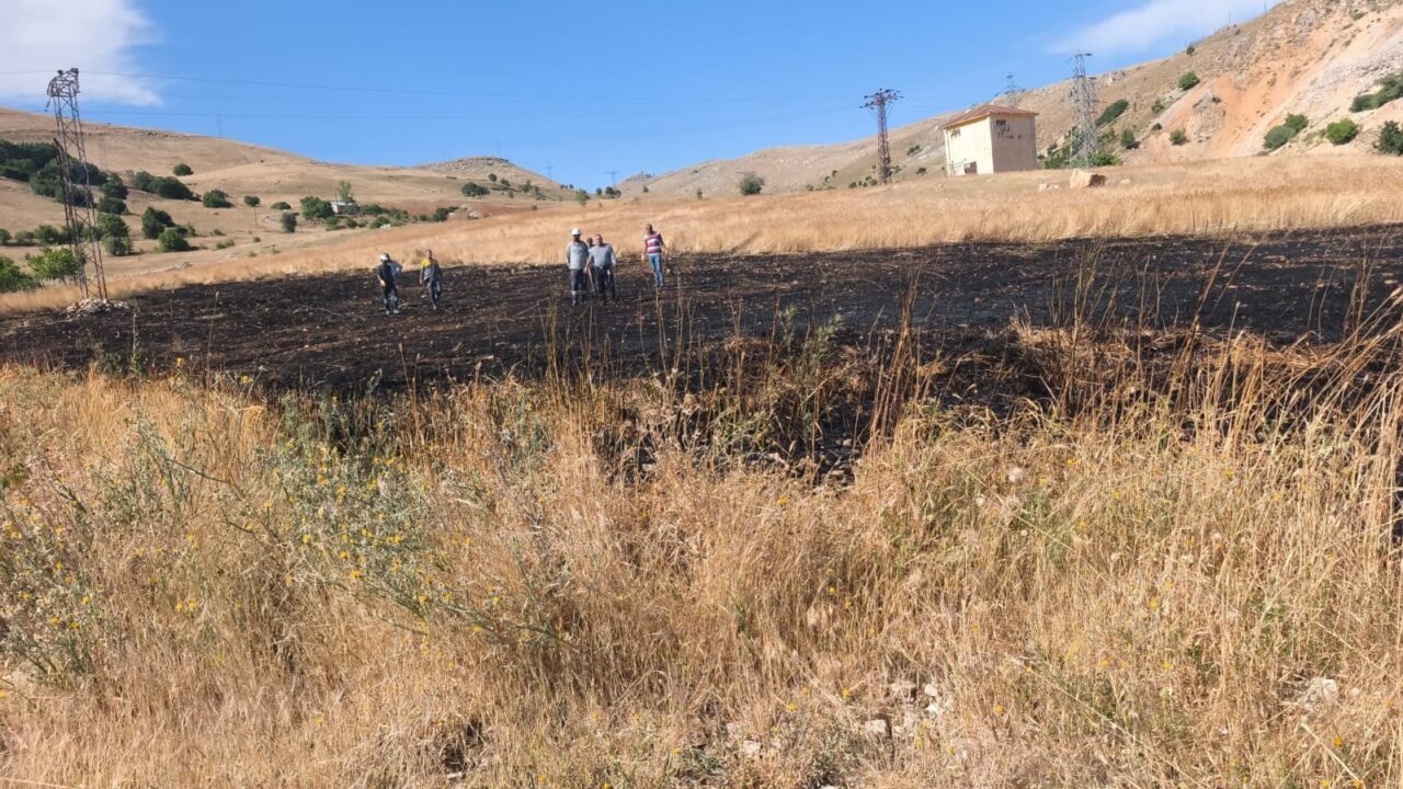 Tunceli’nin Hozat ilçesinde ekili alanda meydana gelen yangın, belediye ekiplerinin