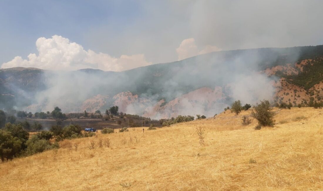 Tunceli’nin Hozat ilçesinde çıkan yangın, büyük ölçüde söndürülürken bölgede müdahale