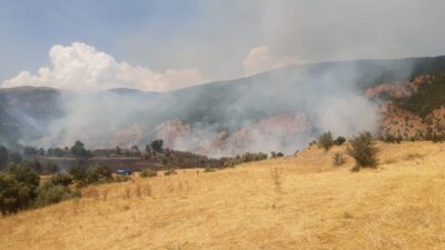 Tunceli’nin Hozat ilçesinde çıkan yangın, büyük ölçüde söndürülürken bölgede müdahale