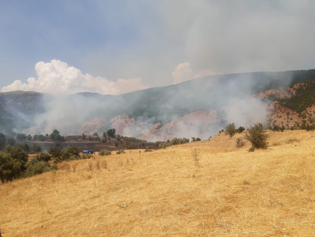 Tunceli’nin Hozat ilçesinde çıkan yangın, büyük ölçüde söndürülürken bölgede müdahale