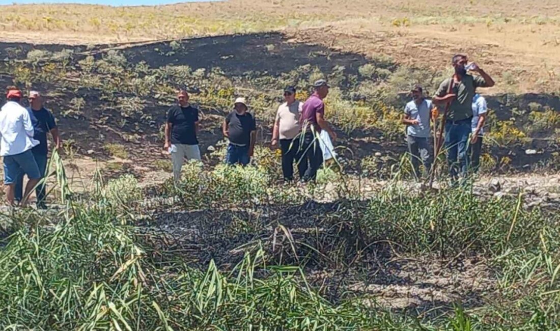 Tunceli’nin Pertek ilçesinde ekili alanda çıkan yangın, belediye ekipleri ve