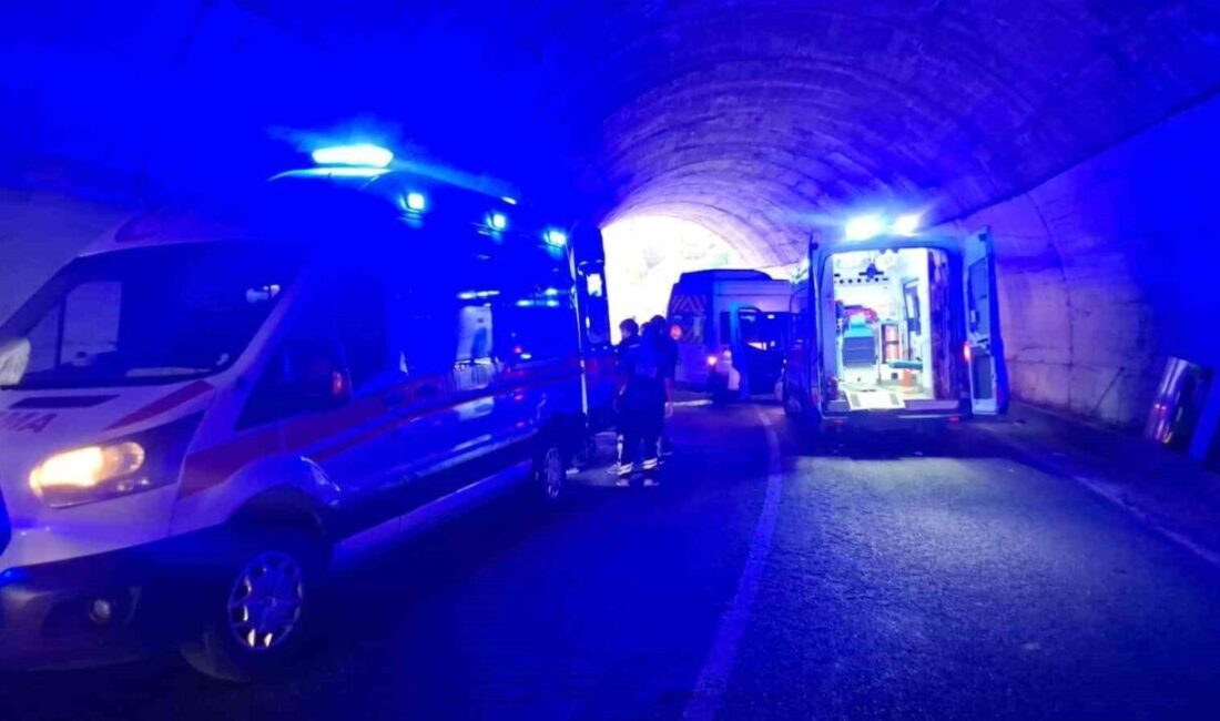 Tunceli-Pülümür-Erzincan karayolunda tünelde iki aracın kafa kafaya çarpışması sonucu meydana