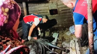 Sinop’un Türkeli ilçesine bağlı Kayabaşı köyünde gece saatlerinde meydana gelen