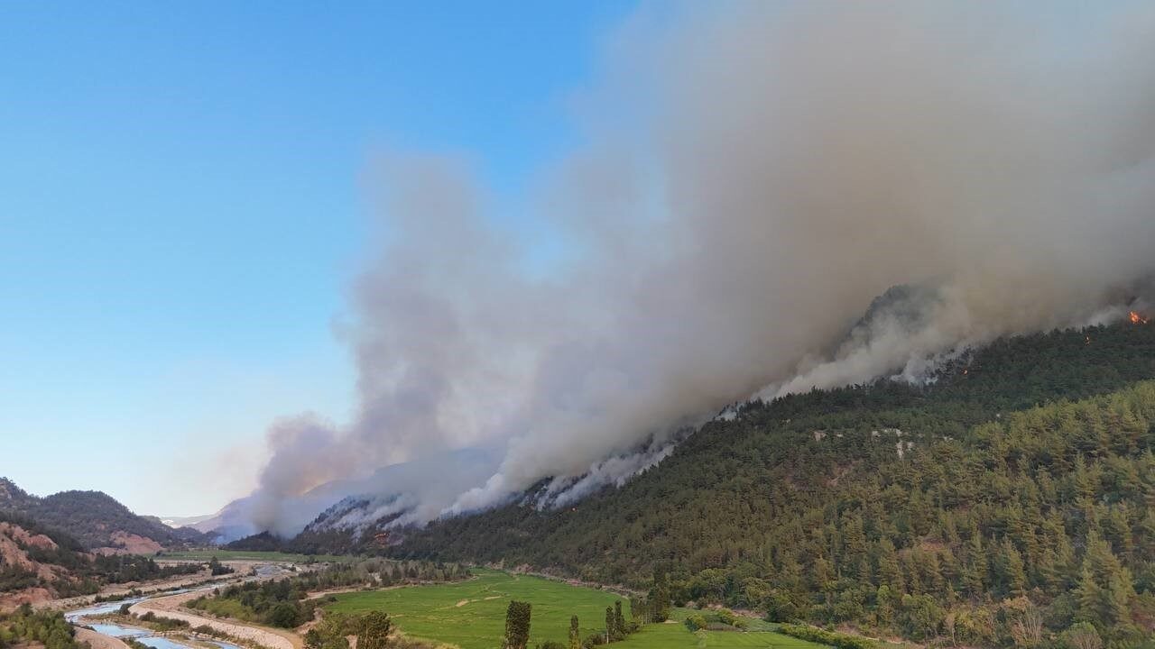 Türkiye’nin yaklaşık 23 milyon hektarlık orman alanının yüzde 55’inin yangın