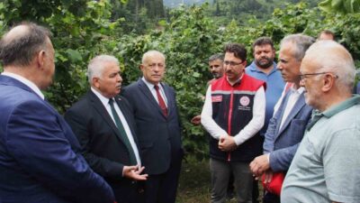 Trabzon Valisi Aziz Yıldırım, fındık üretiminin sadece ek iş olarak