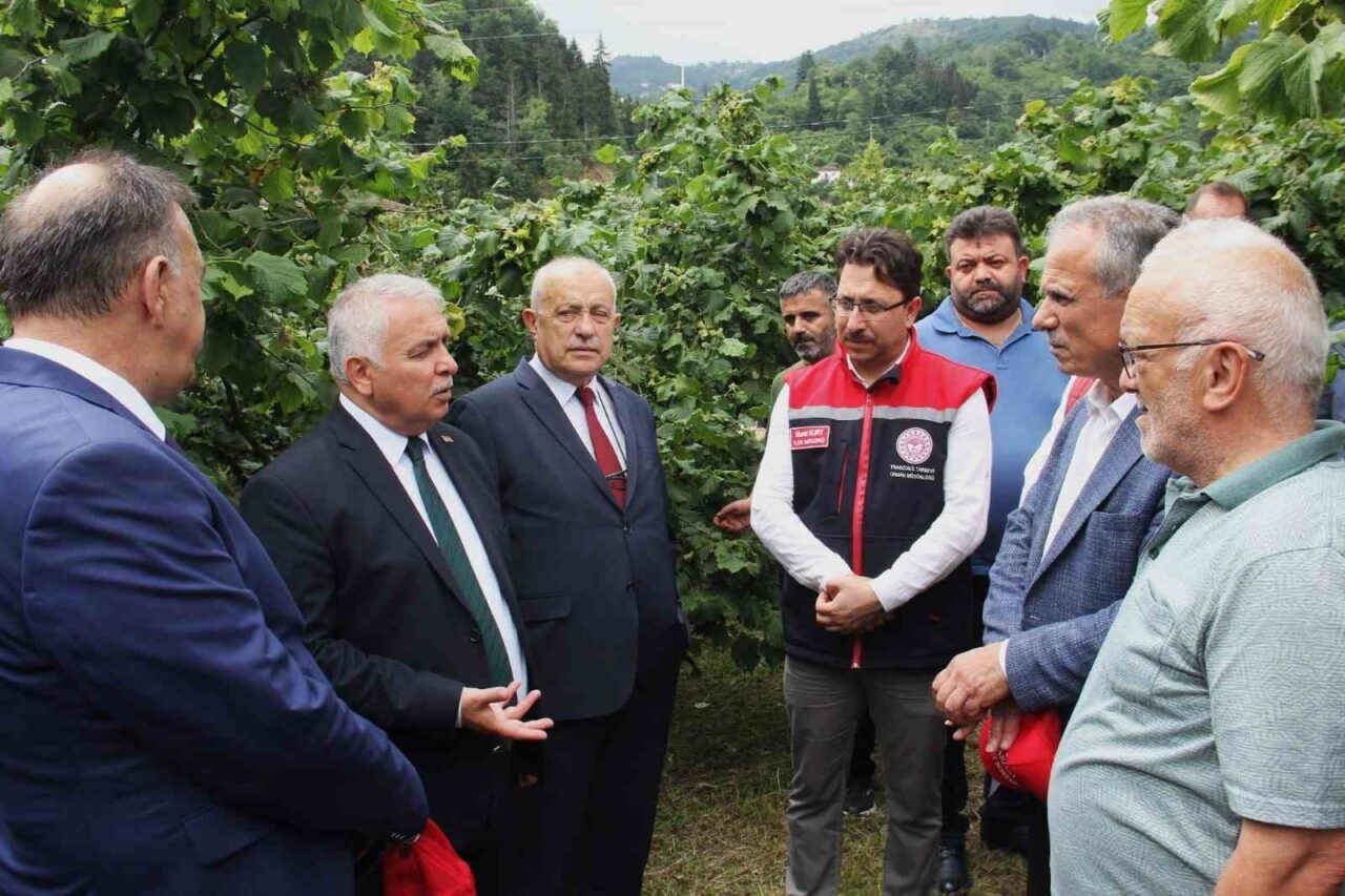 Trabzon Valisi Aziz Yıldırım, fındık üretiminin sadece ek iş olarak