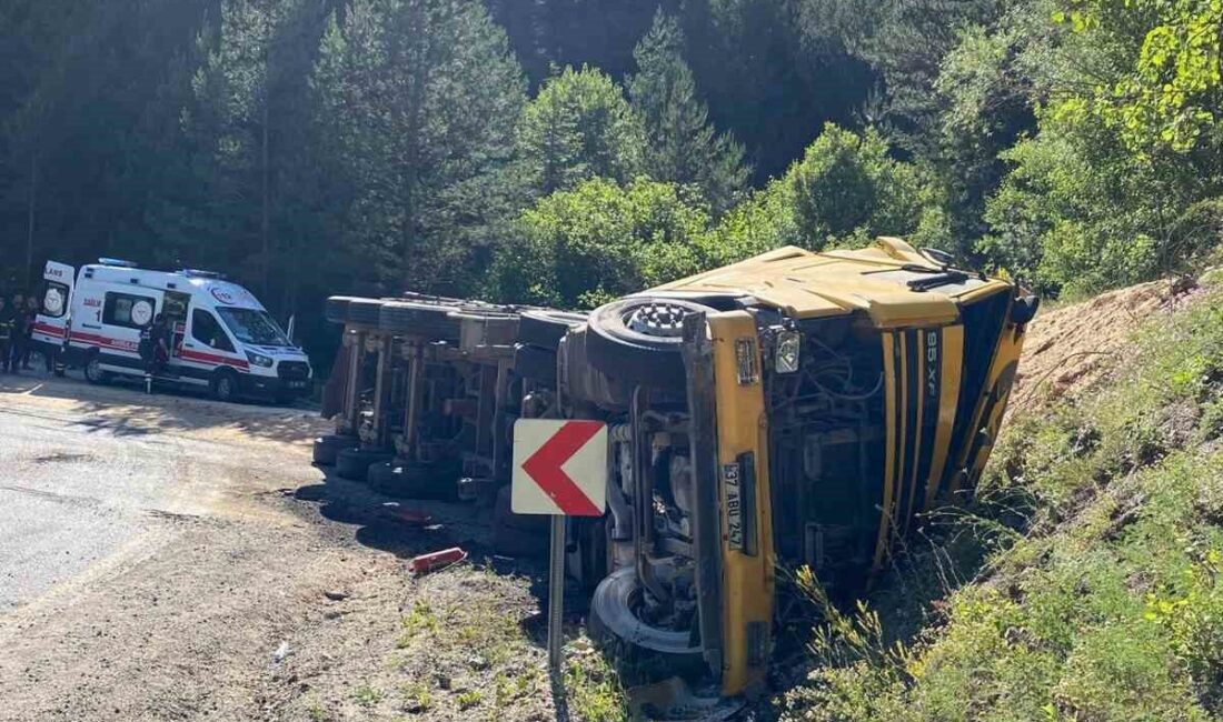 Kastamonu’nun Tosya ilçesinde virajı alamayan talaş yüklü tırın devrildiği kazada