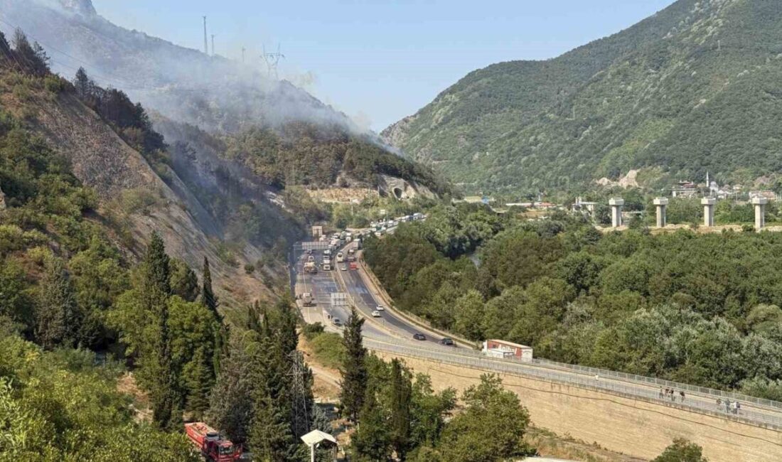 Sakarya’nın Geyve ilçesinde çıkan orman yangını nedeniyle kapatılan D-650 kara