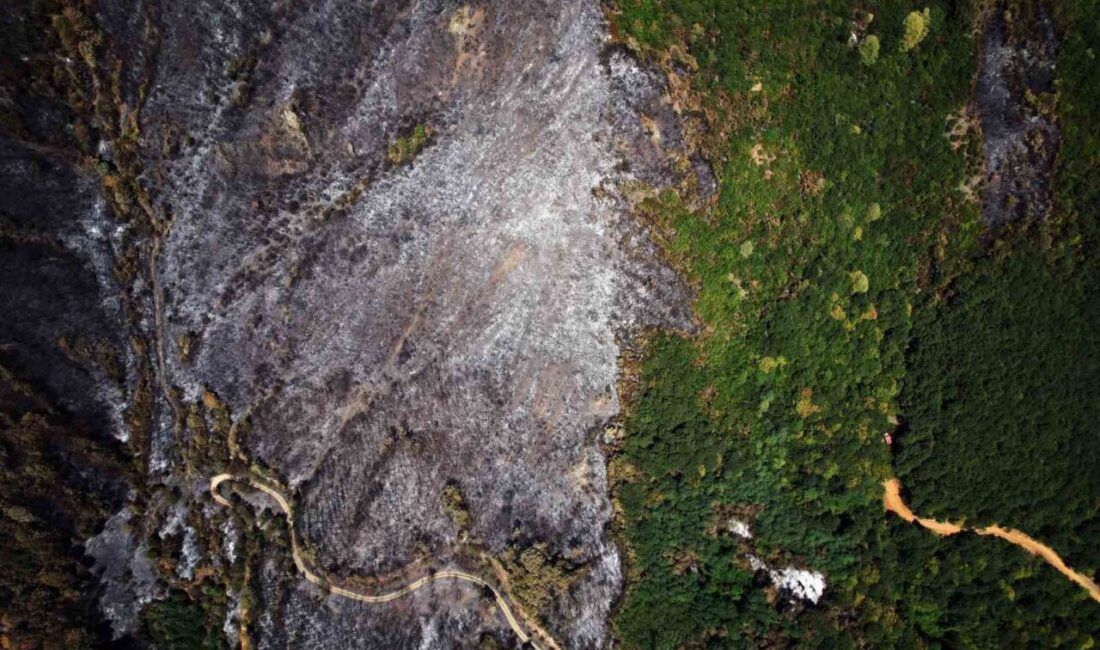 Sakarya’nın Geyve ilçesine bağlı Nuruosmaniye ve Karaçam Mahallelerinde çıkan yangının