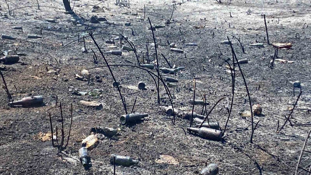 Kocaeli’nin Kartepe ilçesindeki otluk arazide çıkan yangın, itfaiye ekiplerince söndürüldü.