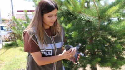 Erzincan’da yaralı halde bulunan güvecine polisler sahip çıktı. İl Emniyet