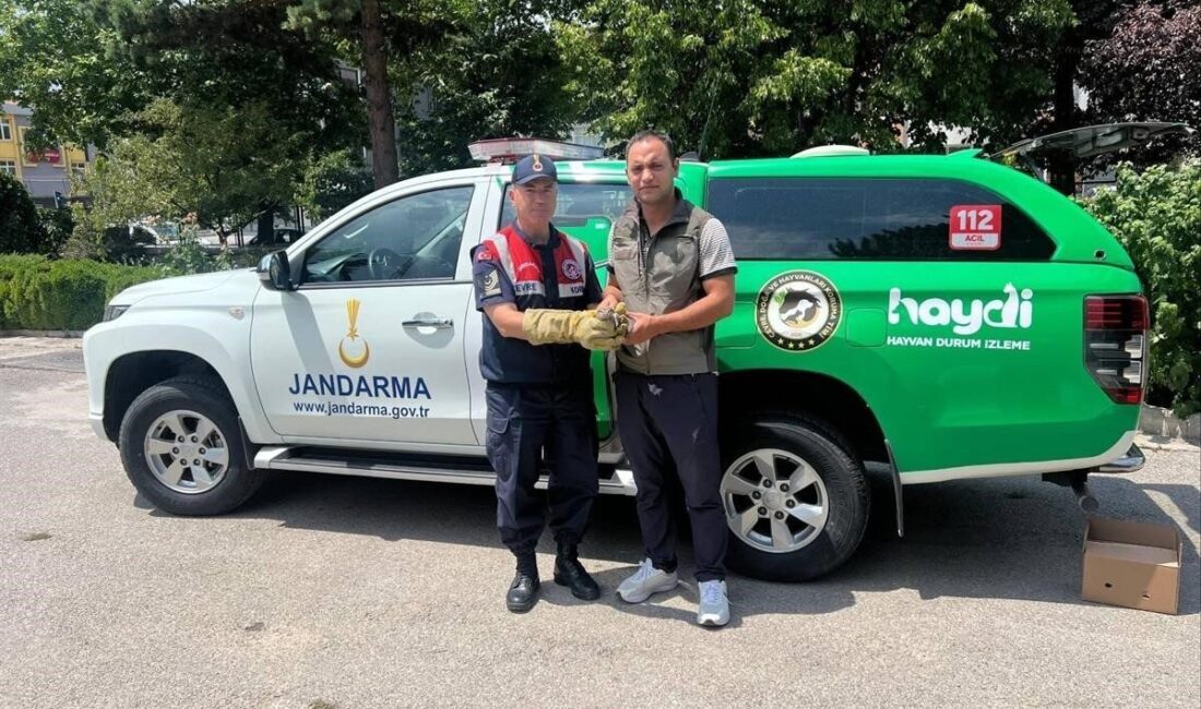 Erzincan’ın Üzümlü ilçesi Bayırbağ köyünde görevli devriye personelince yaralı halde