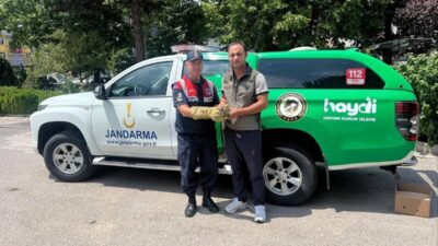 Erzincan’ın Üzümlü ilçesi Bayırbağ köyünde görevli devriye personelince yaralı halde