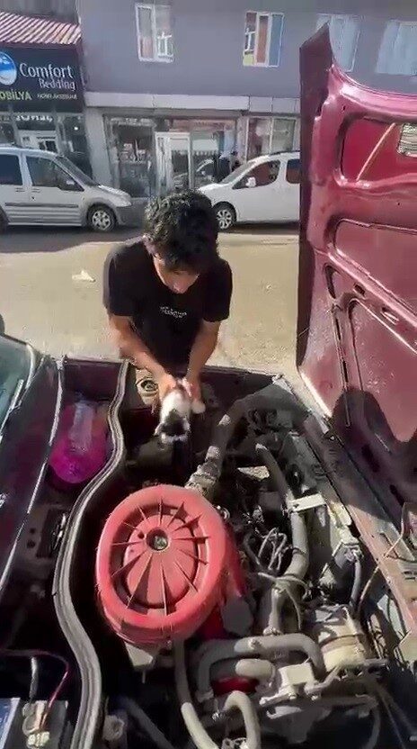 Erzurum’un Karayazı ilçesinde otomobilin motor bölümüne sıkışan yavru kedi hayvan