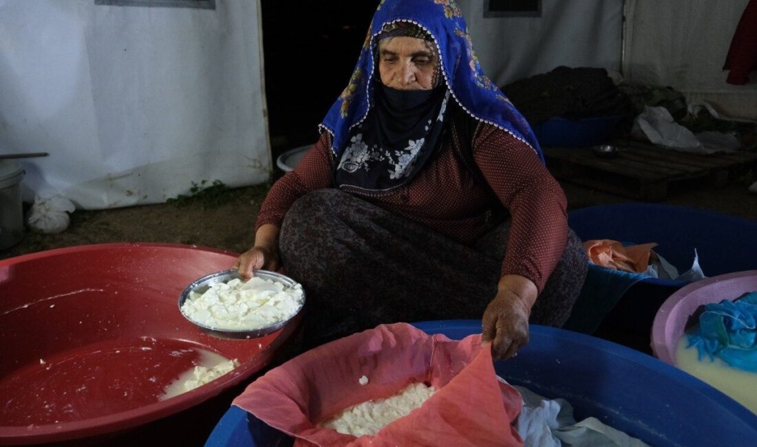 Yüksek rakımlı yaylalarda beslenen akkaraman koyunu ile kıl keçisinin sütünden
