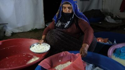 Yüksek rakımlı yaylalarda beslenen akkaraman koyunu ile kıl keçisinin sütünden