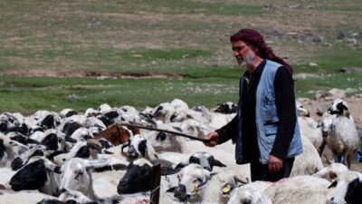 “Köyümde Yaşamak İçin Bir Sürü Nedenim Var” projesiyle Erzurum’da yetiştiricilere