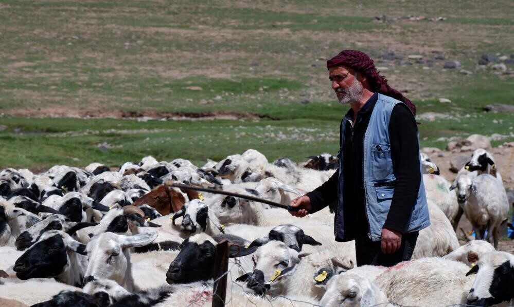 Yetiştiricilere 127,7 milyon TL kredi desteği “Köyümde Yaşamak İçin Bir Sürü Nedenim Var” projesiyle Erzurum’da yetiştiricilere
