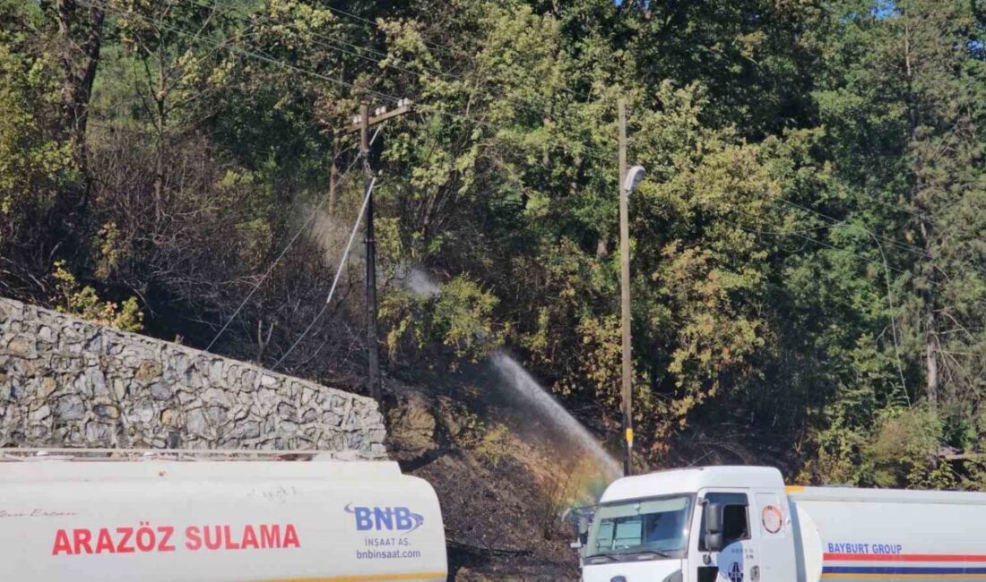 Zonguldak’ta çıkan örtü yangını, ekiplerin ve vatandaşların müdahalesiyle kontrol altına
