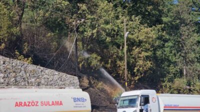 Zonguldak’ta çıkan örtü yangını, ekiplerin ve vatandaşların müdahalesiyle kontrol altına